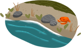 Cartoon image of a sandy shoreline featuring stones, seaweed and a crab